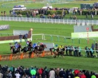 Cheltenham race course 1.jpg